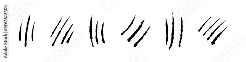 Tiger scratch marks with wild animal texture. Flat vector illustration isolated on white background.