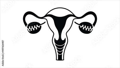 Anatomical Insight: An artistic illustration depicting the female reproductive system in intricate detail.