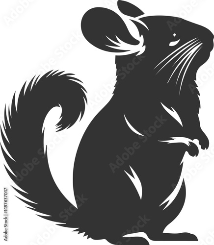 Silhouette of a chinchilla vector animal drawing
