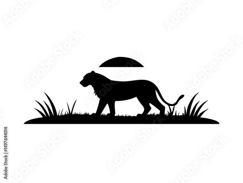 Lion Walking at Sunset Silhouette