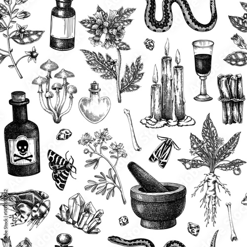 Witchcraft seamless pattern. Bohemian background. Witch herbs, poisonous plants, magic ingredients and floral elements. NOT AI generated