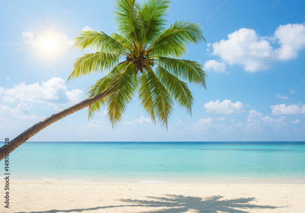 Fototapeta premium Palm tree on a beach isolated on transparent background