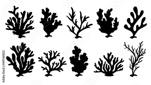 Seaweed silhouettes, coral black icon. Abstract organic shape, underwater plant, matisse element, cute sea doodle.