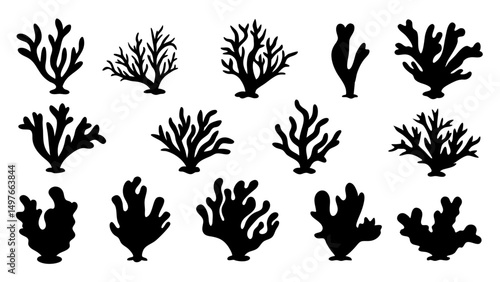 Seaweed silhouettes, coral black icon. Abstract organic shape, underwater plant, matisse element, cute sea doodle.
