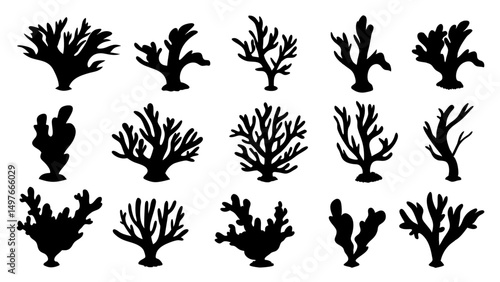 Seaweed silhouettes, coral black icon. Abstract organic shape, underwater plant, matisse element, cute sea doodle.