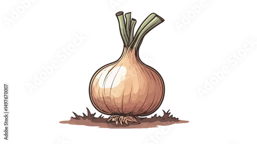 A detailed digital illustration of a single onion, rendered in a hand-drawn style. The onion is depicted in a pale beige-brown hue, with subtle shading to indicate form and texture.