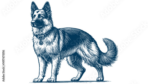 german shepherd vector
