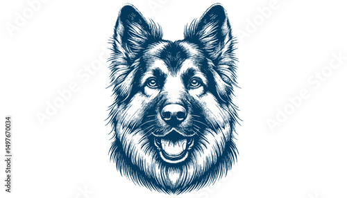 german shepherd vector