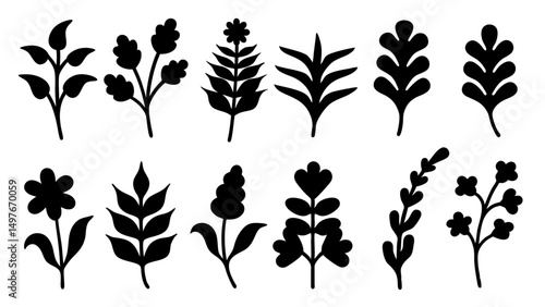 Botanical Silhouettes Collection