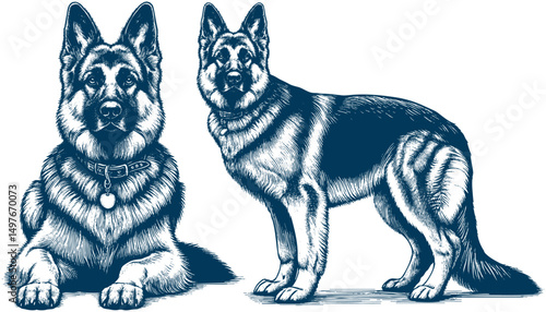 german shepherd vector