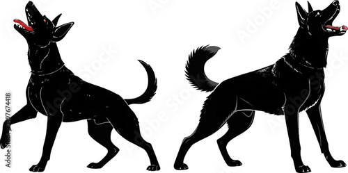 Alert Belgian Malinois Silhouette - Working Dog Vector