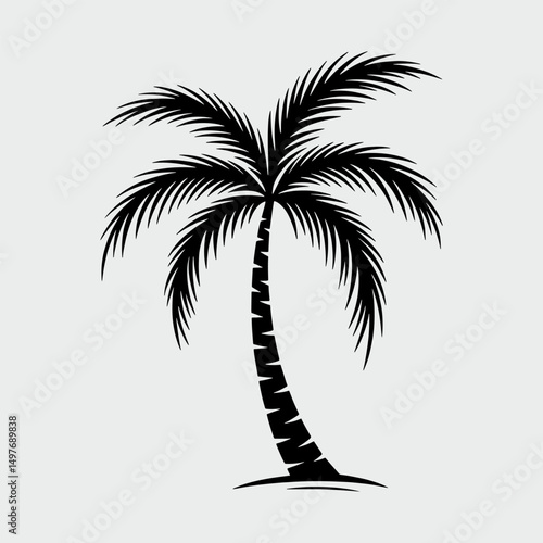 A palm tree is drawn in black and white