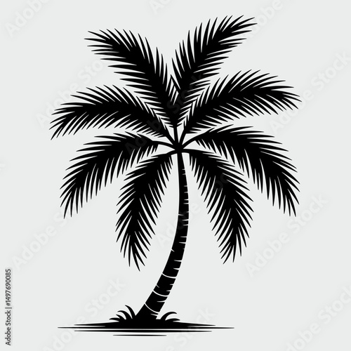 A palm tree is drawn in black and white