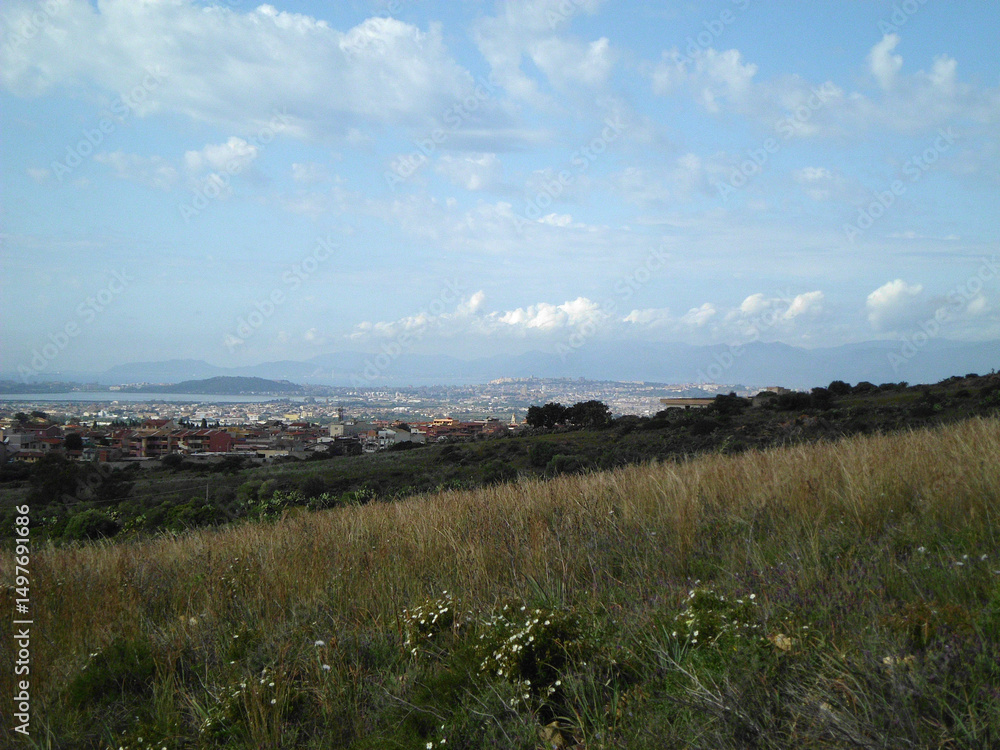 Fototapeta premium Natura