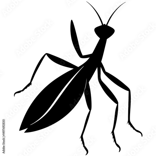 Praying Mantis Silhouette Vector Illustration