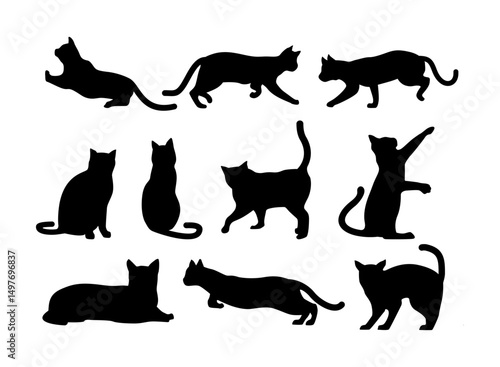 various poses of cat silhouettes