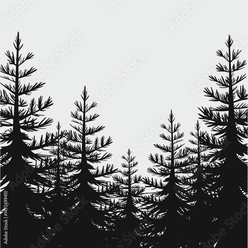 Hand drawing a tree pine silhouette vector