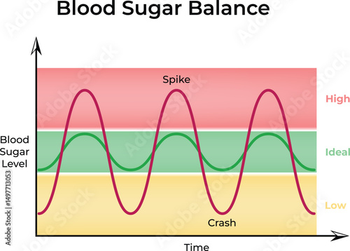 Blood Sugar Balance: Understanding Glucose Fluctuations Design Vector Illustration