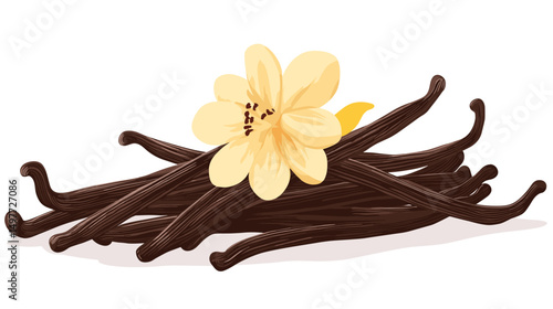 The closeup vanilla flower and beans isolated on white background vector illustration