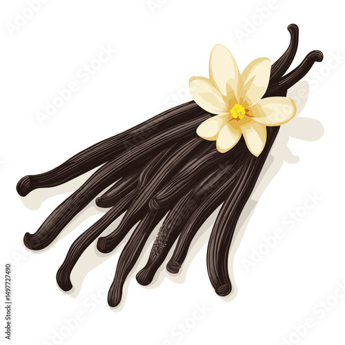 The closeup vanilla flower and beans isolated on white background vector illustration