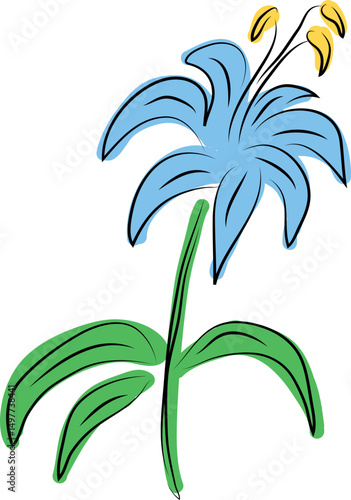 one realistic blue blooming lily flower with green foliage color drawing, hand drawn black curved simple lines