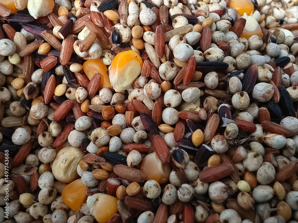 Birdseed Mixture close up photo Birdseed Mixture close up photo