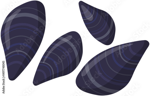 clam mussel