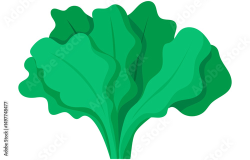 spinach vector