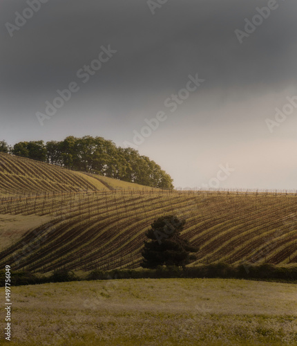 Willamette Valley Oregon