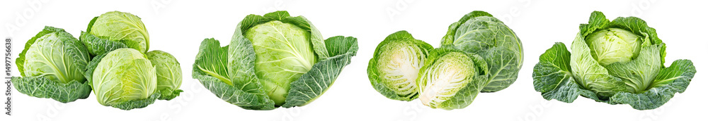 PNG Fresh green cabbage variety display, element set on transparent background PNG Fresh green cabbage variety display, element set on transparent background