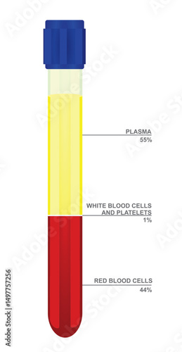 Blood sampling for lab. vector