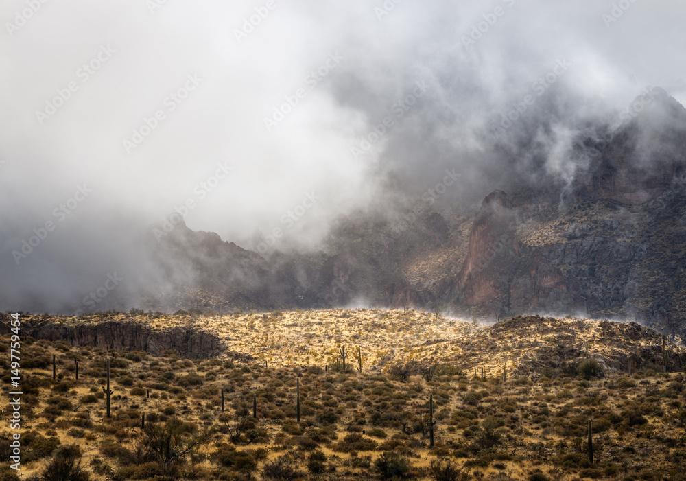 Fototapeta premium Mountains engulfed in fog