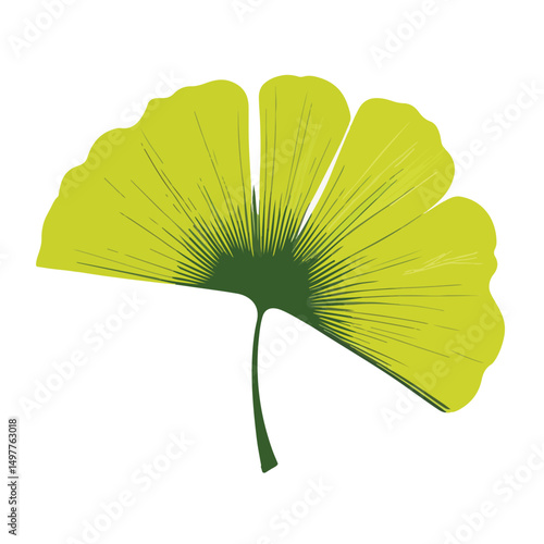 a flat vector illustration of a single ginkgo leaf