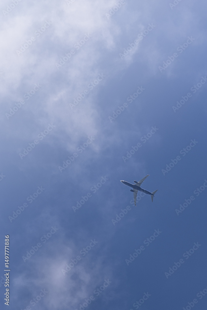Fototapeta premium airplane in the sky