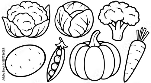 Set of line-art vegetables: cauliflower, cabbage, broccoli, potato, peas, pumpkin and carrot