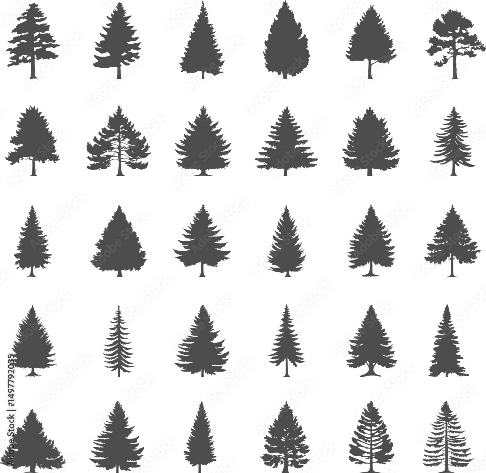 Obraz premium Set silhouettes of coniferous tree isolated on transparent background. Vector illustration