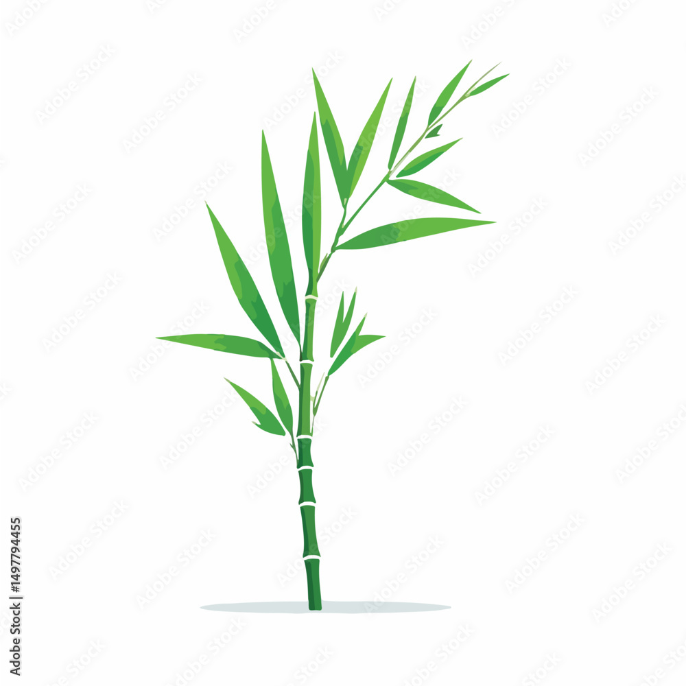 Fototapeta premium Flat Thin Leaf