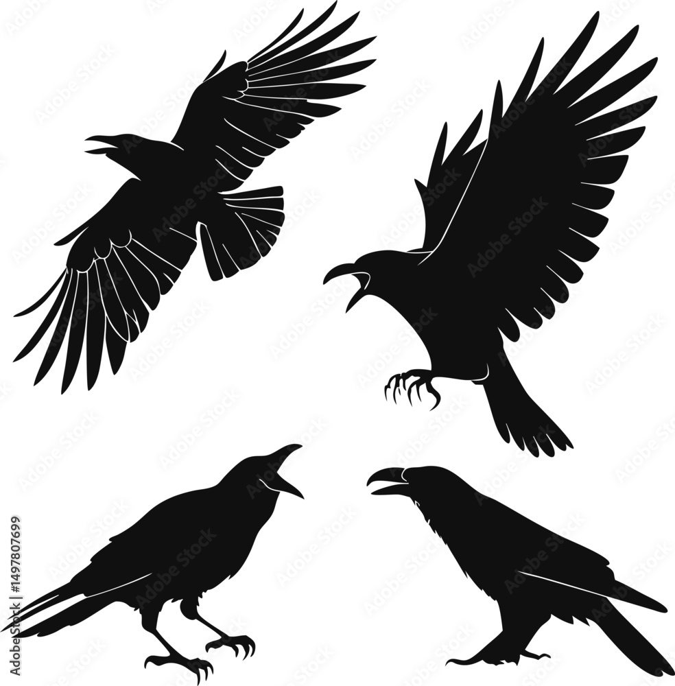 Obraz premium Crow and Raven Silhouettes