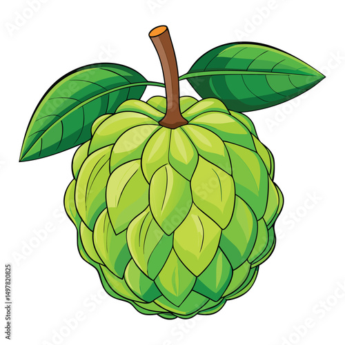 Annona squamosa clipart on white background