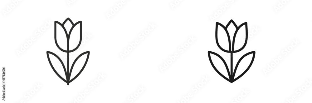 Two simple line drawings of tulips on a white background to illustrate floral designs