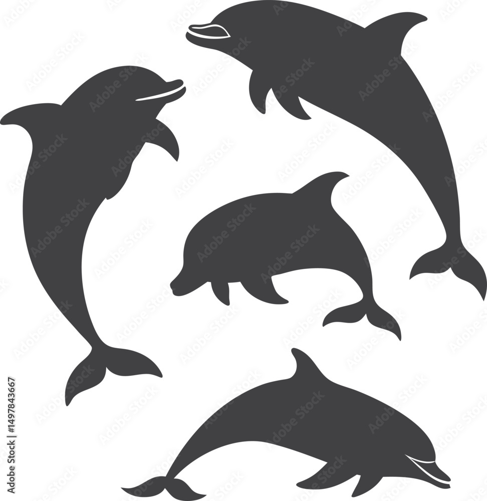 Fototapeta premium Swimming Dolphin Silhouette