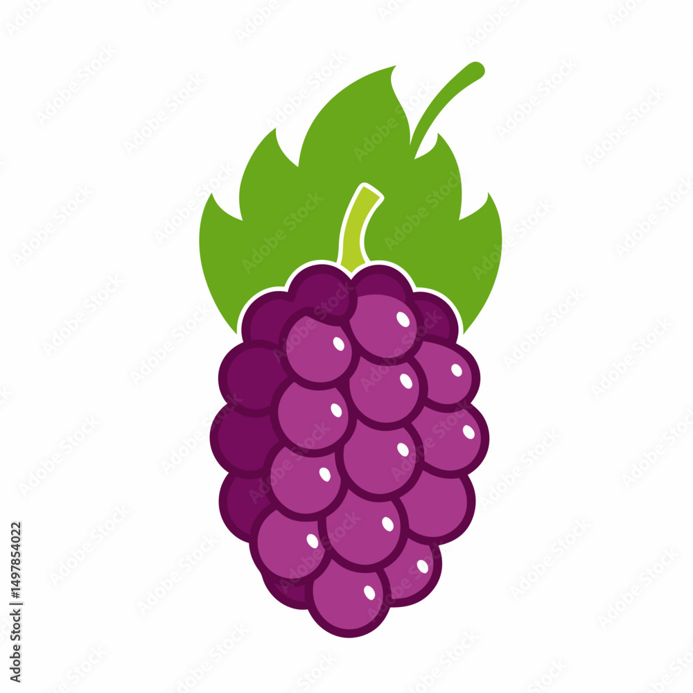 Fototapeta premium mulberry fruit vector icon on white background