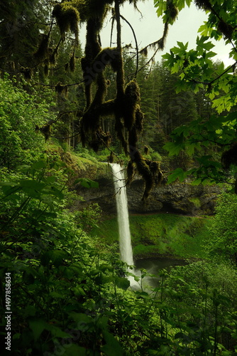 waterfall in the forest