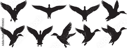 Ducks in flight silhouette vector illustration