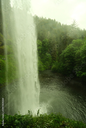waterfall in the forest