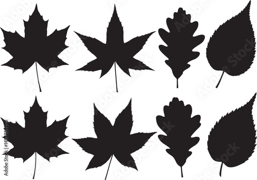Autumn leaves falling silhouette vector illustration
