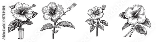 Elegant Hand-Drawn Hibiscus Flowers in Various Stages of Detail, vintage retro hipster logo design, vector illustration, engraving design