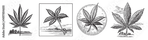 Vintage Illustrations of Cannabis Leaves in Four Distinct Styles, vintage retro hipster logo design, vector illustration, engraving design