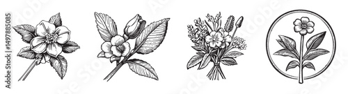 Discover a collection of vintage floral illustrations featuring unique flowers and bouquets, perfect for art projects, home decor, and designs celebrating nature.