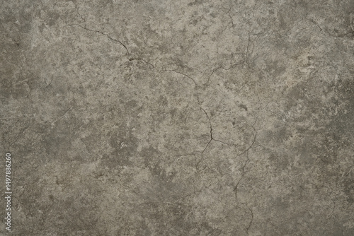 This image presents a textured concrete surface, showcasing intricate patterns and natural imperfections